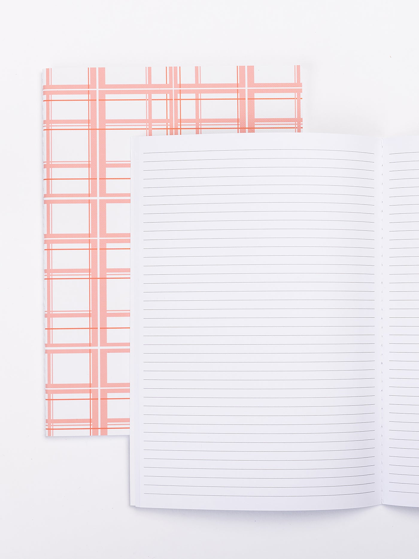 Medium Notebook | Fine Line Pink