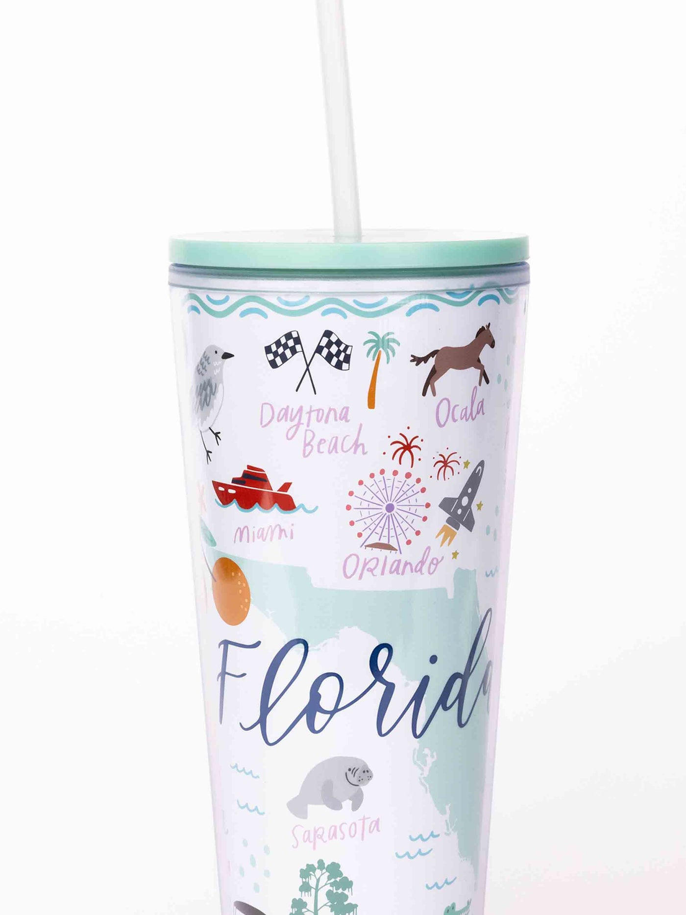 24oz Straw Tumbler | Florida