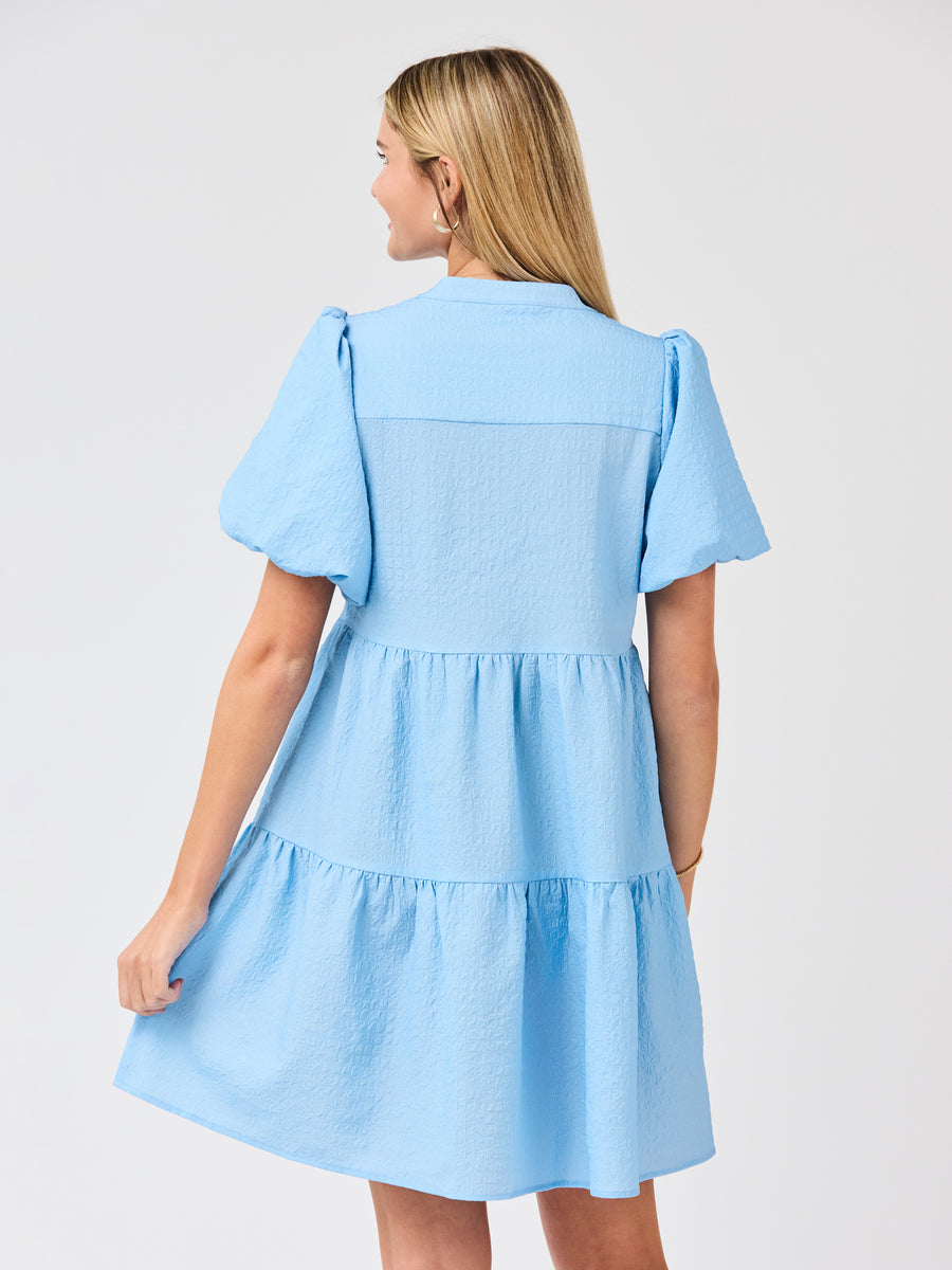 Kinsley Mini Dress