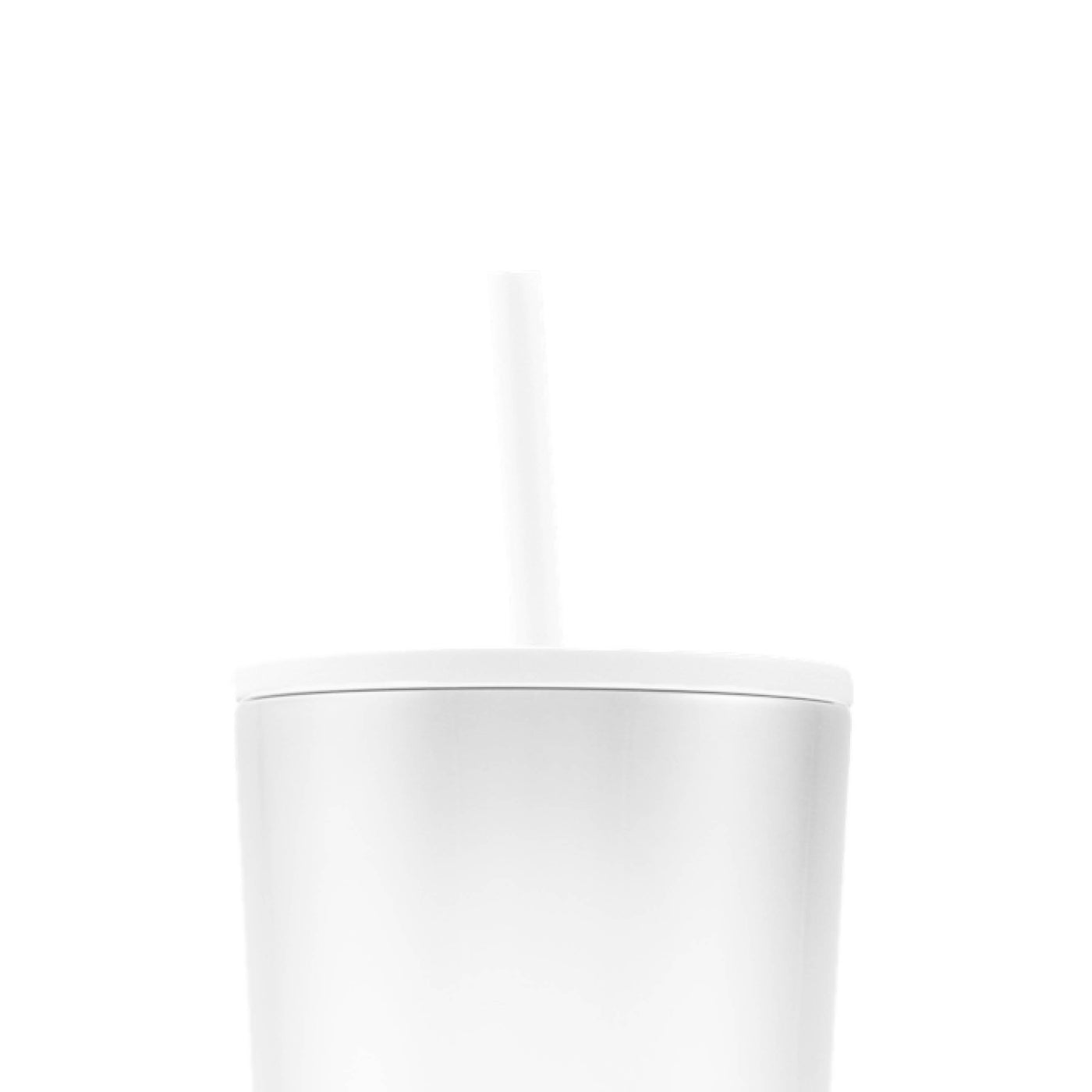 Stainless Skinny Tumbler Straw - Mary Square, LLC