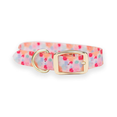 Sweeten The Day | Dog Collar - Mary Square, LLC