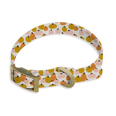 Hey There Pumpkin | Dog Collar - Mary Square, LLC